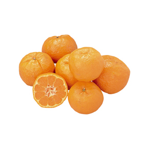 ぽんかん（ML）袋（５コ）　愛媛県産などの国内産