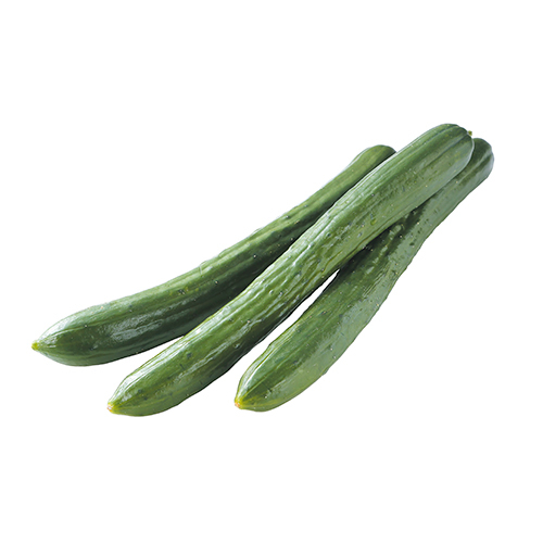 きゅうり袋（３本）　宮崎県群馬県千葉県埼玉県産などの国内産