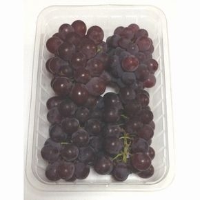 ぶどう（デラウェア）１パック　山形県産などの国内産