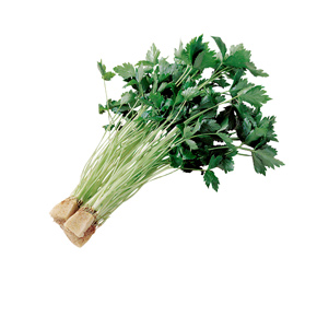 糸みつば１袋　静岡県茨城県埼玉県群馬県千葉県産などの国内産