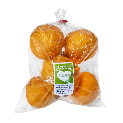 （ハネッコ）不知火（しらぬい）袋（５〜６コ）　熊本県和歌山県産などの国内産