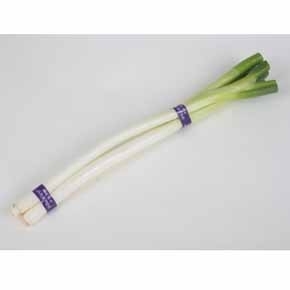 長ねぎ 束　秋田県群馬県埼玉県茨城県産などの国内産