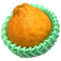 デコポンバラ　１コ　愛媛県和歌山県産などの国内産