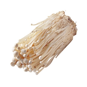 えのき茸１パック　長野県新潟県産などの国内産