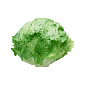 レタス１コ　香川県静岡県兵庫県産などの国内産　