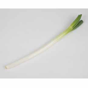 長ねぎバラ（１本）　群馬県千葉県埼玉県茨城県産などの国内産